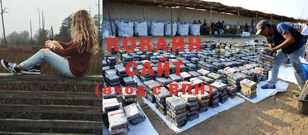 сатива Абинск