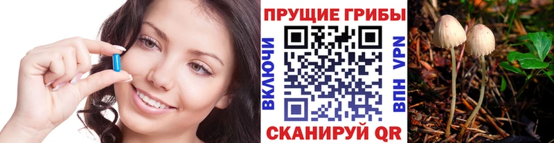 KRAKEN вход  Ярославль  Псилоцибиновые грибы Psilocybe  наркота 