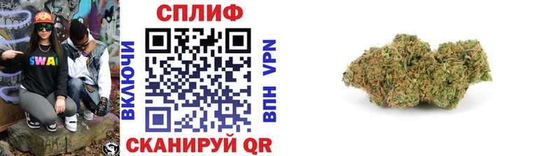 Каннабис план Ярославль